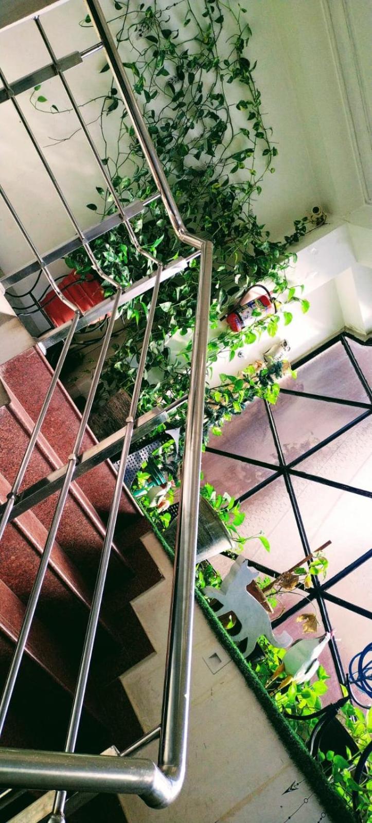 Rangbaari Stays & Cafe Dźodhpur Zewnętrze zdjęcie